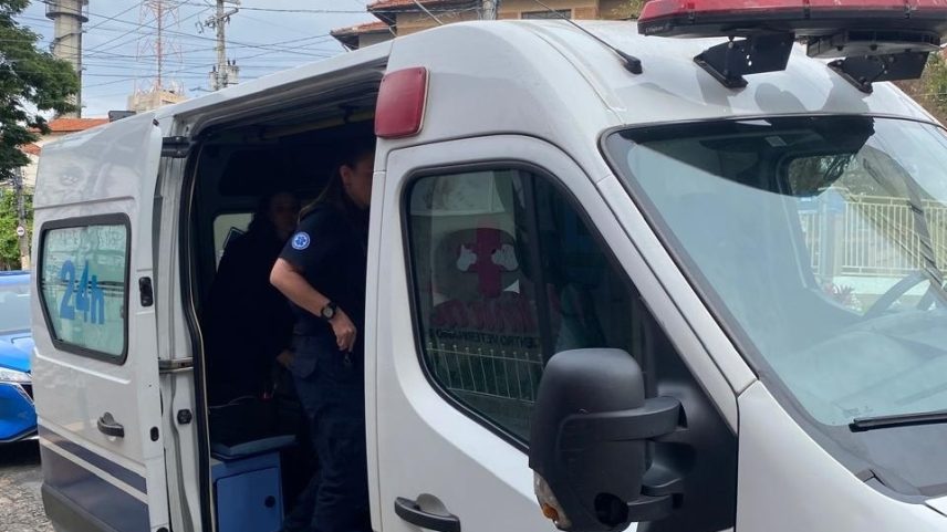 Ambulância utilizada na remoção de animais não é personalizada (Foto: Debora Alexandre/UOL)