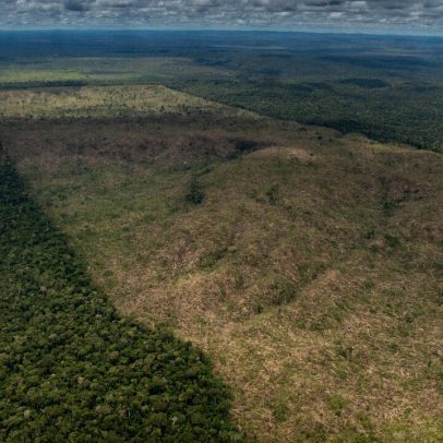 Lula deve vetar integralmente o PL da Devastação para proteger o meio ambiente
