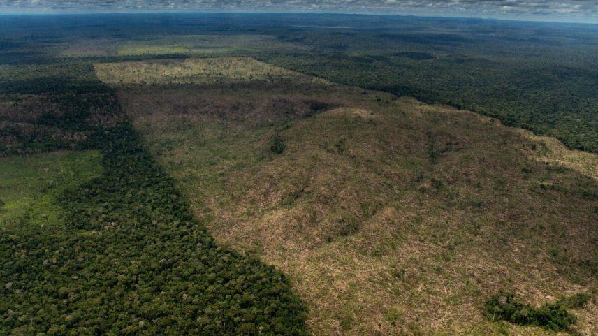 Desmatamento na Floresta Amazônica: proposta é uma saia justa planetária para o Brasil, que está a pouco mais de três meses da realização da COP 30 (Foto: Christian Braga/ Greenpeace/Divulgação)