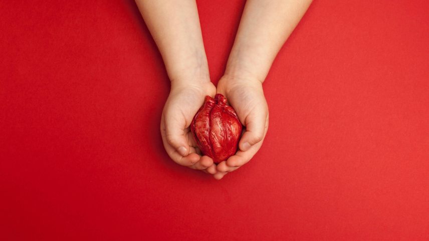 Boa alimentação e descanso podem ajudar a prevenir doenças cardíacas (Foto: Andrii Zastrozhnov/Adobe Stock)