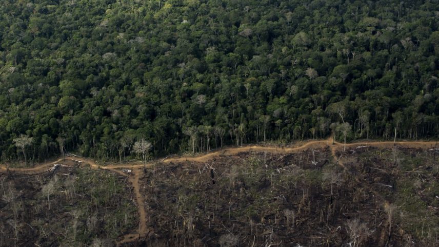 Desmatamento na floresta amazônica (Foto: Edilson Dantas/Agência O Globo/17-09-2021)