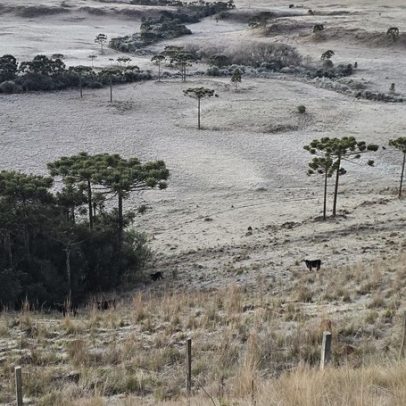 Santa Catarina registra -7,7ºC e campos cobertos por geada nesta manhã