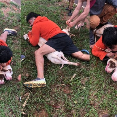 Lutador utiliza Muay Thai e Jiu-Jitsu para conter pitbulls em ataque no MS