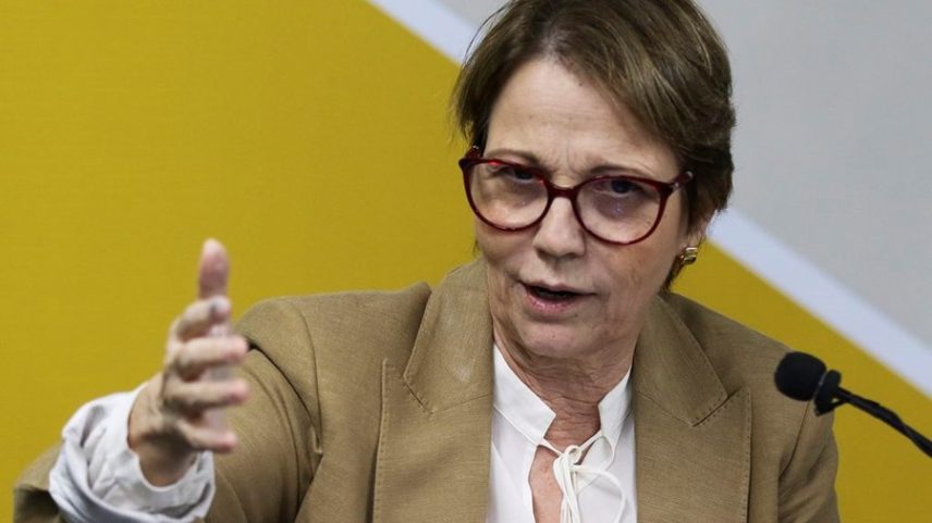 Tereza Cristina (Foto: Marcello Casal Jr/Agência Brasil)