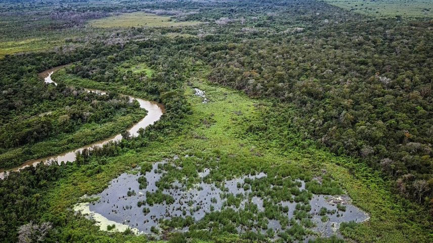 Tarifa de Trump ameaça o agro do Brasil — e encarece produtos nos EUA (Foto: Reprodução)