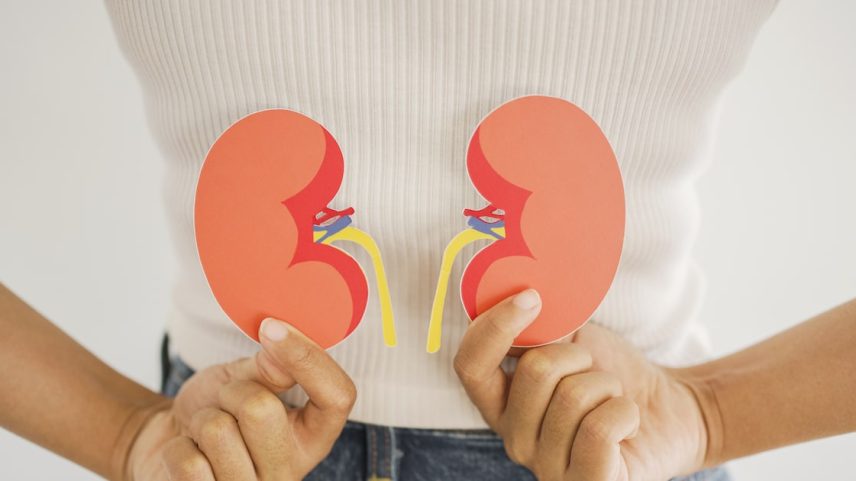 Quando o funcionamento renal é prejudicado, há aumento no risco de diversos problemas de saúde (Foto: SewcreamStudio/Adobe Stock)