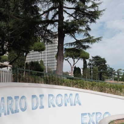 Aquário de Roma enfrenta risco de falência antes da inauguração com investimento de € 100 milhões