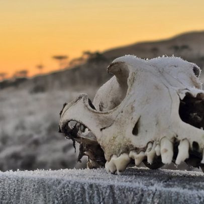 Frio intenso atinge Santa Catarina e Rio Grande do Sul com temperaturas de -10ºC