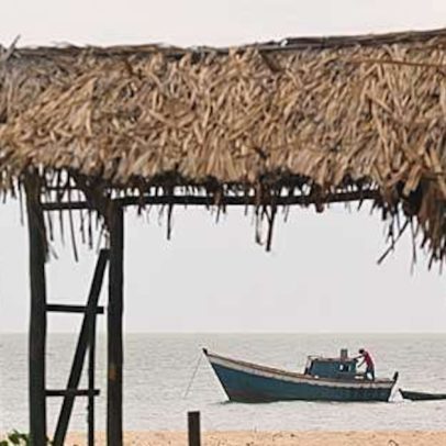 Setor de pescados alerta que tarifas de Trump podem ameaçar 25 mil empregos