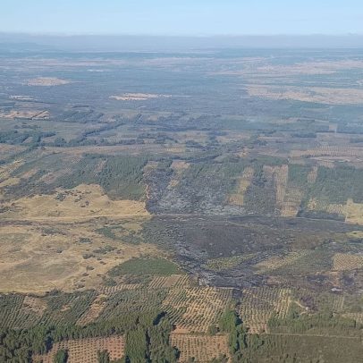 Espanha enfrenta alto risco de incêndios enquanto combate chamas em várias regiões