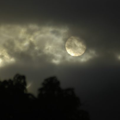 Lua do Veado ilumina o céu em julho; saiba como observar o fenômeno astronômico