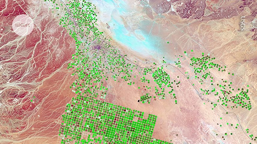 O sistema de IA AlphaEarth Foundations integra imagens de satélite, como esta de terras agrícolas irrigadas, com outros tipos de mapas para oferecer uma visão rica em dados da Terra. (Foto: USGS)