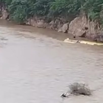 Ônibus capota no sul do México e deixa ao menos sete mortos em acidente trágico