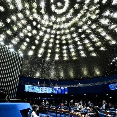 Senadores buscam estreitar laços com EUA e discutir tarifas comerciais