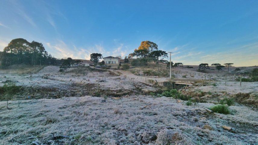 Geada em São Joaquim (Foto: Mycchel Legnaghi/São Joaquim Online/Divulgação)