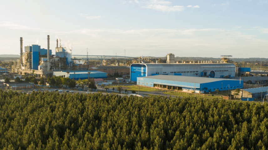 Unidade de Três Barras (SC) da Smurfit Westrock (Foto: Smurfit Westrock/Divulgação)