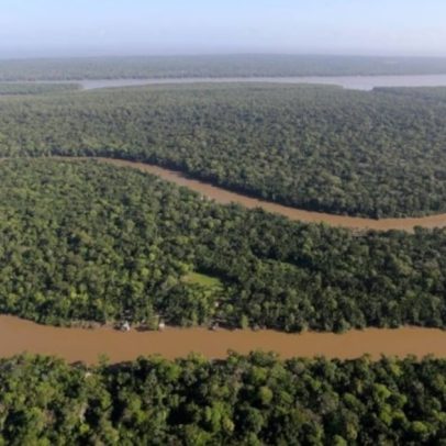Setor de energia cobra votação de nova lei de licenciamento ambiental antes do recesso