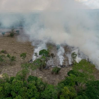 Plataforma de investimentos prioriza projetos sustentáveis no Brasil