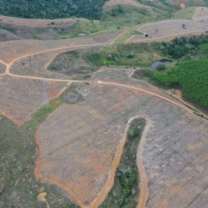 Nestlé planeja restaurar 8.000 hectares de biomas e beneficiar produtores no Brasil