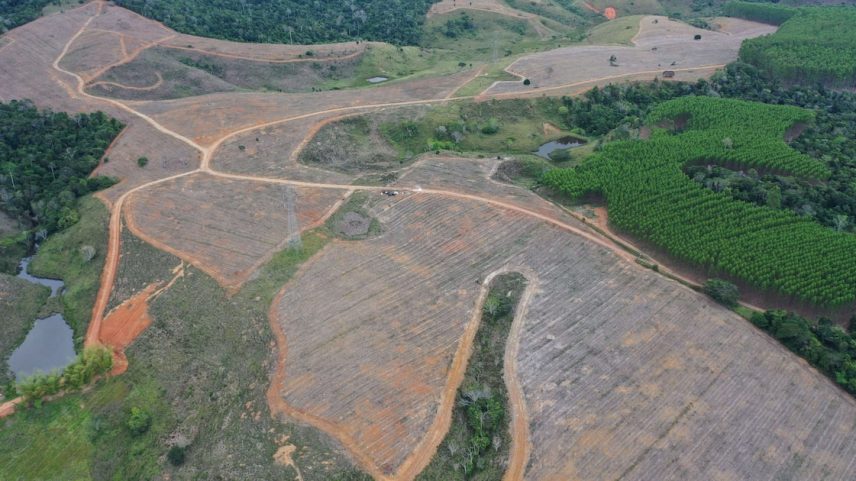 Área do Projeto Gameleira, da re.green no sul da Bahia, agora em parceria com a Nestlé para restauração de paisagens degradadas (Foto: Divulgação)