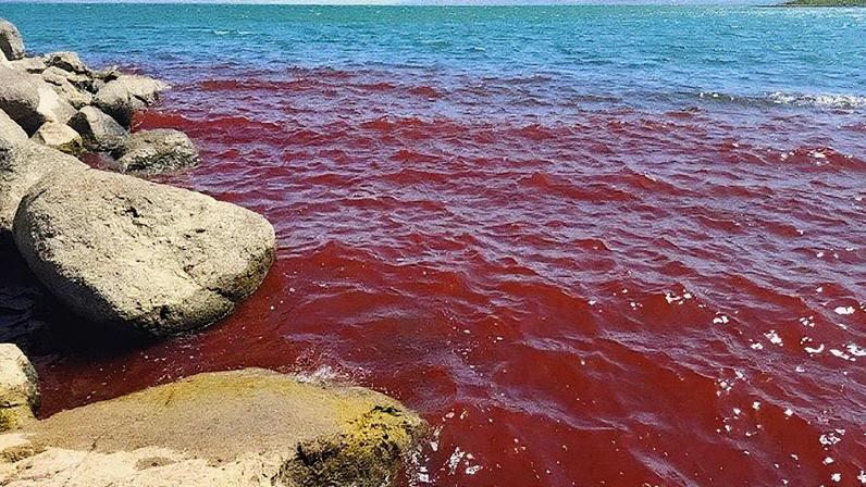 O Mar da Galileia, em Israel, ficou misteriosamente vermelho, gerando temores de presságios bíblicos. (Foto: Shiran Unger/Israel Nature and Parks Authority)