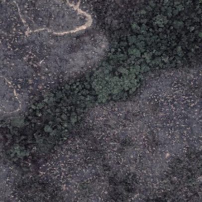 Redes da Amazônia apresentam propostas para a Cúpula de Presidentes sobre clima