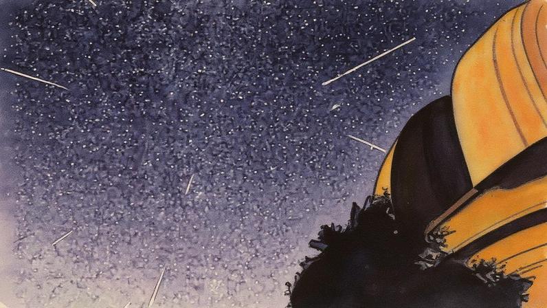 Chuva de meteoros Perseidas: um dos fenômenos astronômicos mais aguardados do ano (Foto: NASA/Reprodução)