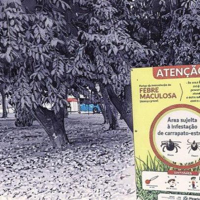 Criança morre de febre maculosa em Piracicaba; é o segundo óbito pela doença na cidade