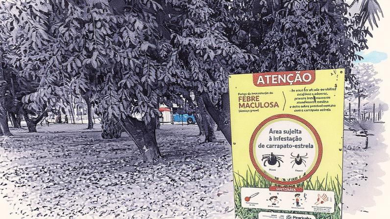 Placas alertam sobre risco da presença do carrapato estrela em Piracicaba, São Paulo (Foto: Reprodução)