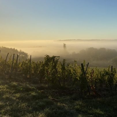 Monbazillac se revela encantador sob a neblina misteriosa