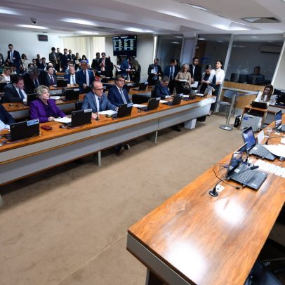 CAE aprova crédito de US$ 750 milhões para empresas da Amazônia Legal