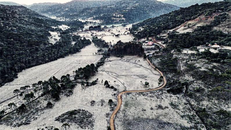 Campos cobertos de geada no amanhecer de quarta-feira (13) na localidade de Vacas Gordas, em Urubici, na serra de Santa Catarina, onde fez -1,5°C (Foto: Jefferson Rech)