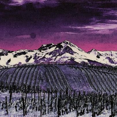 Descubra dez vinhos de Savoie por menos de 15 euros que você precisa experimentar
