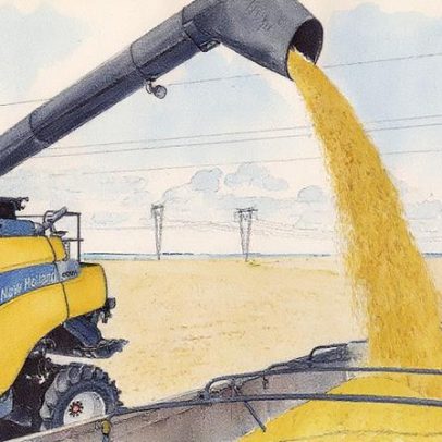 Agro mobiliza setor para criar lei de incentivo à exportação de proteína