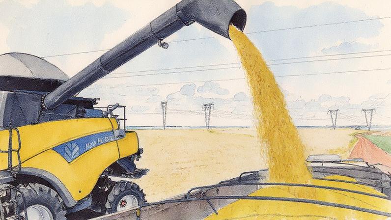 Colheita de soja: PIB do grão/biodiesel atingiu 691 bilhões de reais em 2023, equivalente a 6,3% do total do PIB total do Brasil e a mais de 2% dos empregos gerados (Foto: Jaelson Lucas/AEN/Divulgação)