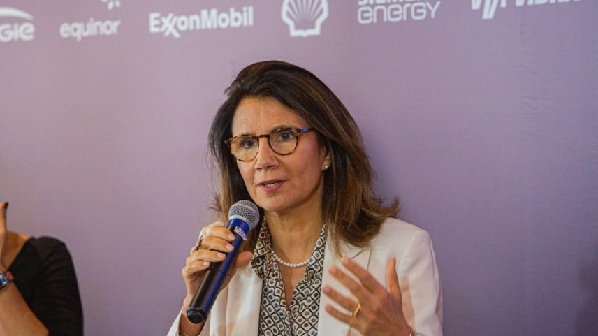 Ana Toni, secretária nacional de Mudança do Clima do Ministério do Meio Ambiente (Foto: Beatriz Orle/Agência O Globo)