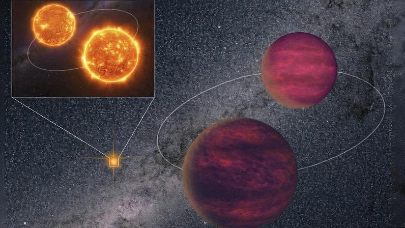 Ilustração do sistema estelar quádruplo, com as duas estrelas à esquerda (na cor laranja) e as duas anãs marrons à direita (Foto: Jiaxin Zhong/Zenghua Zhang via The New York Times)