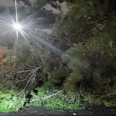 Ventania de 120 km/h atinge litoral de SP e causa estragos na região