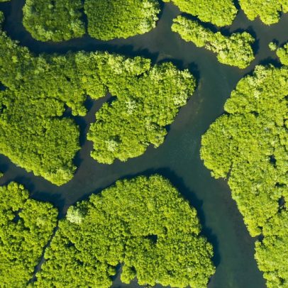 Gases de efeito estufa não contabilizados afetam o clima global