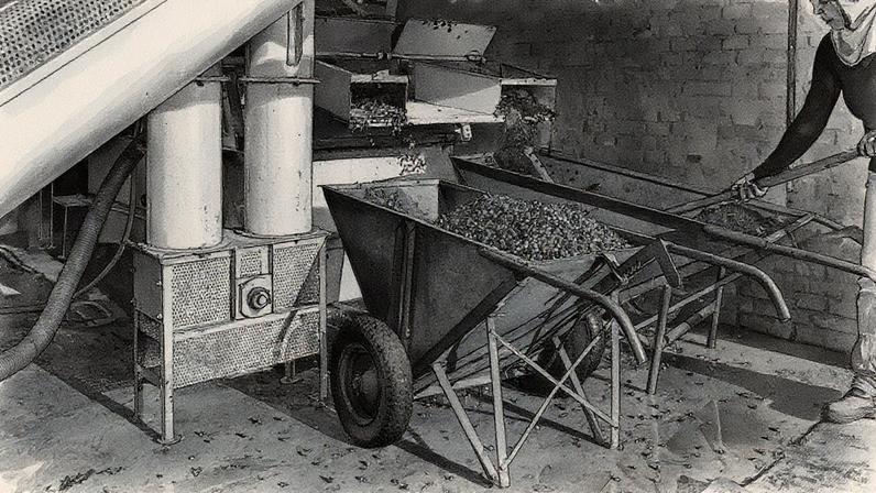 As empresas começaram a evitar novos contratos e a procurar uma margem de manobra nos contratos existentes para evitar ter que pagar as tarifas mais altas (Foto: Departamento de Agricultura dos EUA)