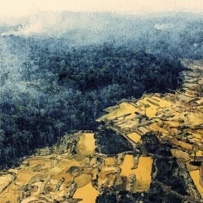 Garimpo diminui em terras indígenas com ações do governo, revela Greenpeace Brasil
