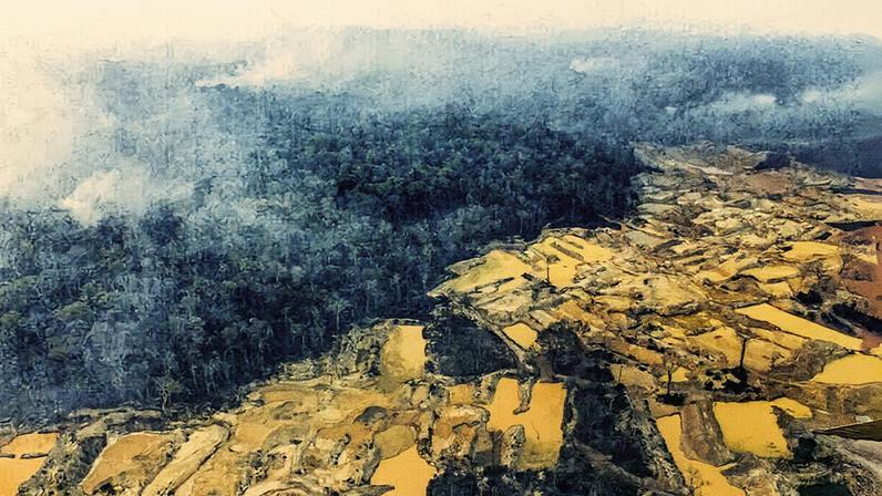 Mineração ilegal na Terra Indígena Sararé, na Amazônia (Foto: Reprodução)