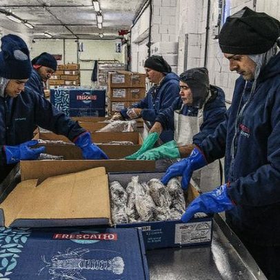 Exportações de pescado caem com tarifas dos EUA e afetam cadeia de 30 anos