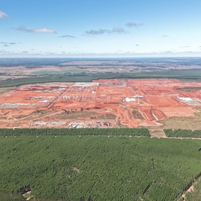Arauco implementa plano para escoar celulose da maior fábrica do mundo pelo Porto de Santos