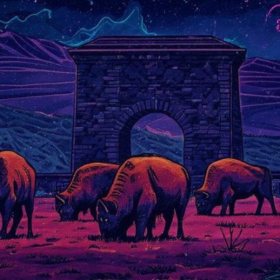 Bisontes retornam e revitalizam as praderas da América do Norte