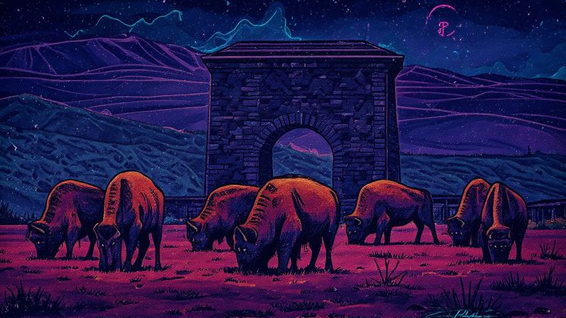 Vários bisontes junto ao Arco de Roosevelt, a entrada norte do parque Yellowstone, em Montana, Estados Unidos. (Foto: Jacob Frank/NPS)