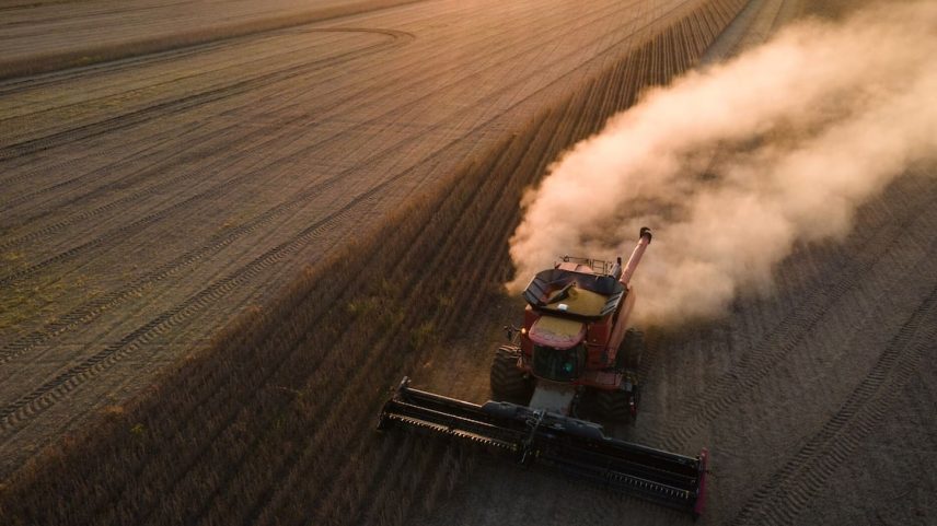 Dados do governo dos EUA do final de julho mostram que o país asiático se absteve de reservar qualquer carga para a próxima safra, que começa em setembro (Foto: Rory Doyle/Bloomberg)