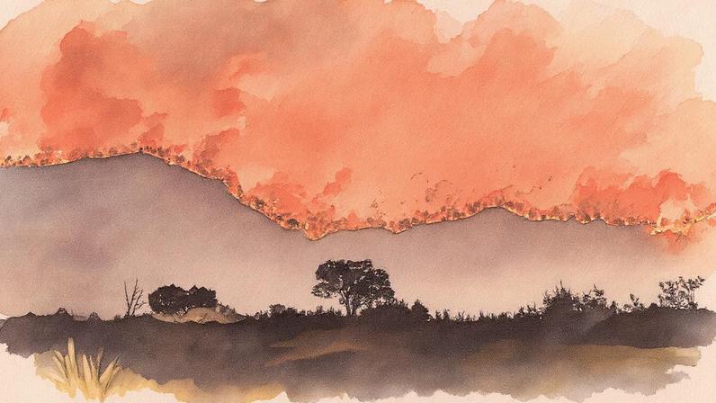 Vista do incêndio florestal que permanece ativo esta terça-feira à noite em Oímbra (Ourense). (Foto: Brais Lorenzo - EFE)