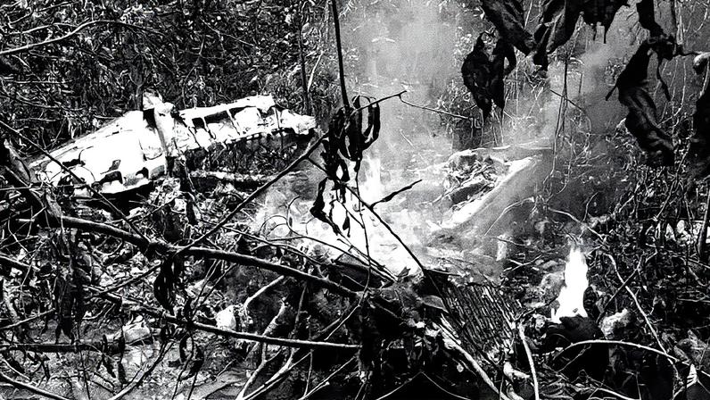 Quatro pessoas morrem após queda de avião na Floresta Amazônica (Foto: Reprodução/X)
