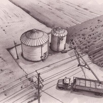 China considera aumentar importação de soja dos EUA com novo acordo agrícola